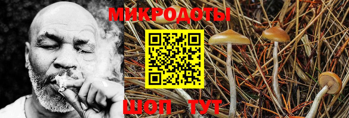 Псилоцибиновые грибы MAGIC MUSHROOMS Пенза