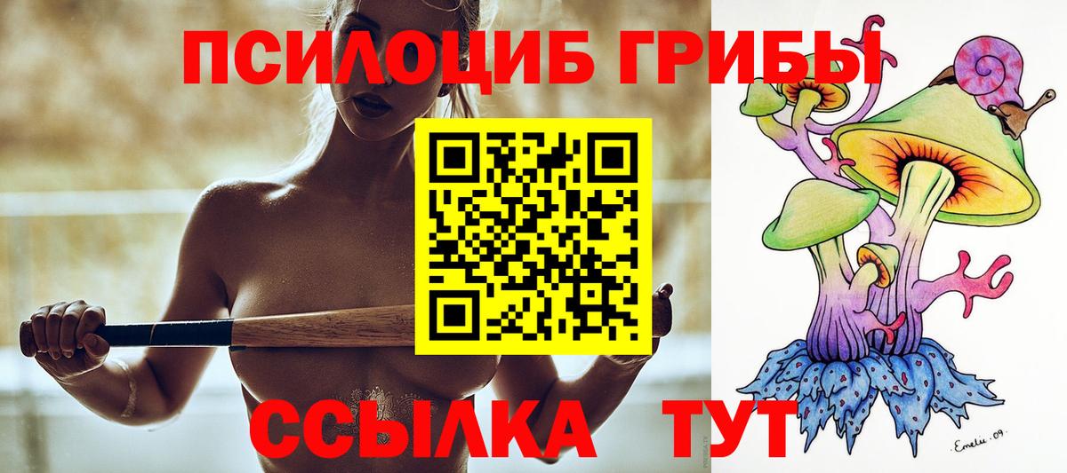 Пенза  Галлюциногенные грибы мухоморы  Вход с VPN  Псилоцибиновые грибы мицелий 